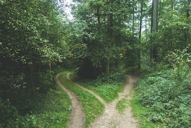 Decision Tree